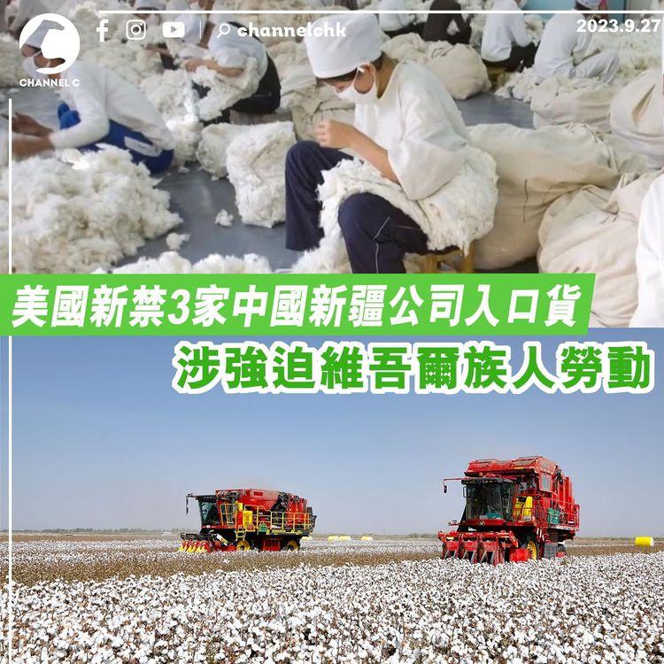 美國新禁3家中國新疆公司入口貨　涉強迫維吾爾族人勞動