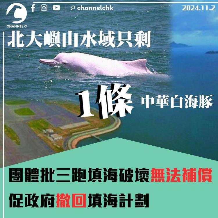 海豚保育協會批三跑填海破壞無法補償　促政府撤回填海計劃　北大嶼山水域只剩1條中華白海豚