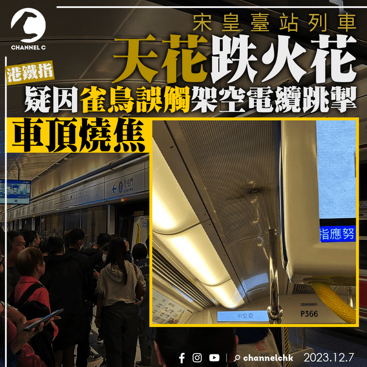 宋皇臺站列車天花跌火花 港鐵指疑因雀鳥誤觸架空電纜致跳掣、車頂燒焦