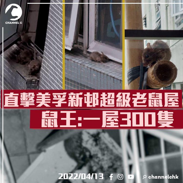 直擊美孚新邨超級老鼠屋 有膽量至好click入嚟