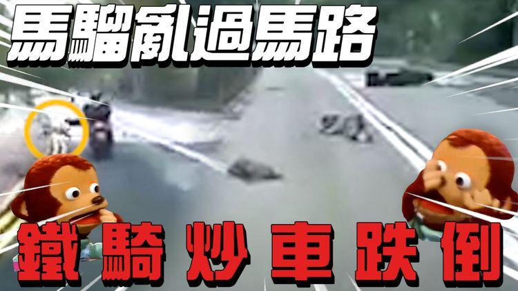 車cam｜馬騮亂過馬路 鐵騎收掣不及倒地受傷 馬騮傷勢不明