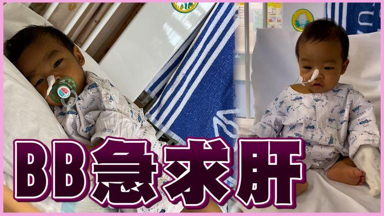【緊急求肝】14個月大BB遇罕見病 患膽管阻塞手術失敗急需換肝