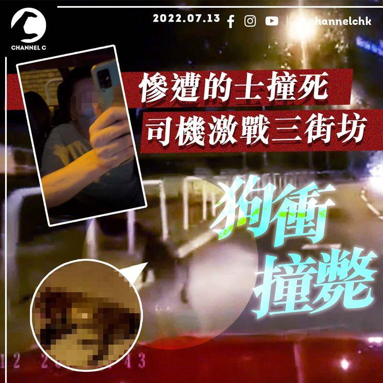 悲劇！流浪狗衝馬路 慘遭的士撞死 司機舌戰3街坊 足本字幕放送｜黃大仙富山邨