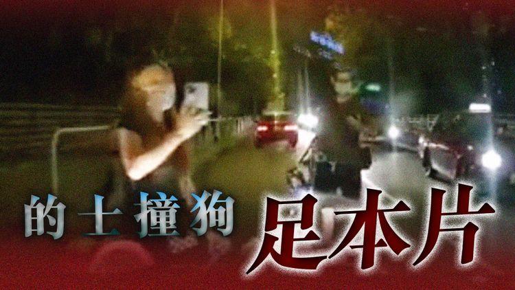 拆解三大疑團！的士撞斃流浪狗足本車cam片｜黃大仙富山邨