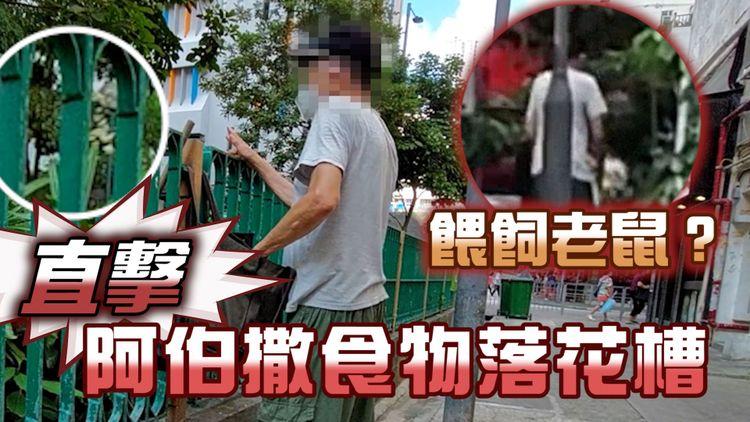 餵飼老鼠？｜直擊伯伯撒食物落花槽 稱餵雀如「精神寄託」 街坊反映「老鼠上咗樓」感恐慌
