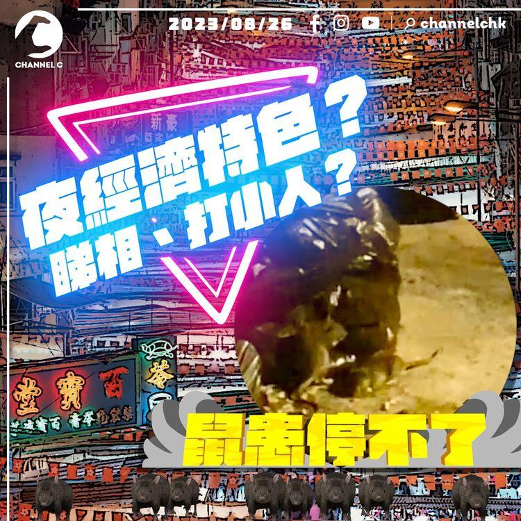 坑口鼠患跟進 啟德屯門成鼠群聚腳地 | #臨瞓頭條 | 香港夜經濟政商人士輪流噏 中港澳盲搶鹽抗輻射 普京否認下令殺普里戈津