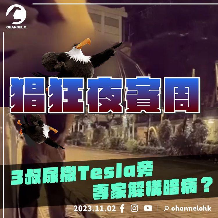 猖狂夜賓周直擊！3叔尿撒Tesla旁 膀胱瘤先兆？露體癖反社會人格？醫生心理學家解構｜群翁尿灌花槽疑聚賭 曾被拆檔 惡招翻生再屙 引童模仿｜SAGAMI相模安全套特約