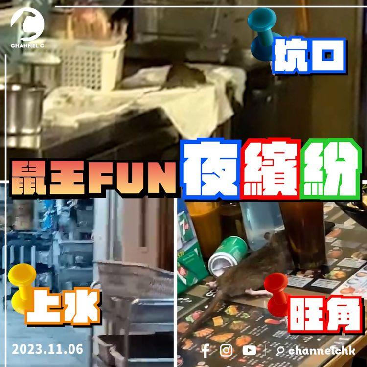 區區鼠王FUN 香港夜繽紛 | 上水酒樓賀新婚＋旺角米線活生生＋坑口食街拉腸粉