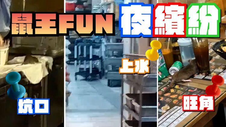 區區鼠王FUN 香港夜繽紛 | 上水酒樓賀新婚＋旺角米線活生生＋坑口食街拉腸粉