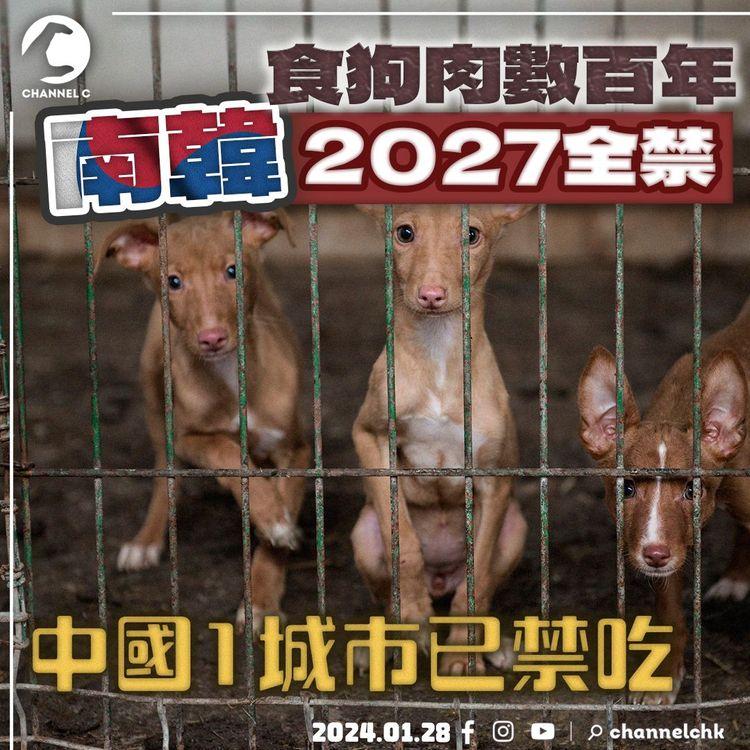 南韓2027禁食狗 屠夫可被判囚 但原來上餐桌數百年 解構禁令契機｜中國1城市已立例禁吃 廣西玉林繼續歎｜SRSWorks特約