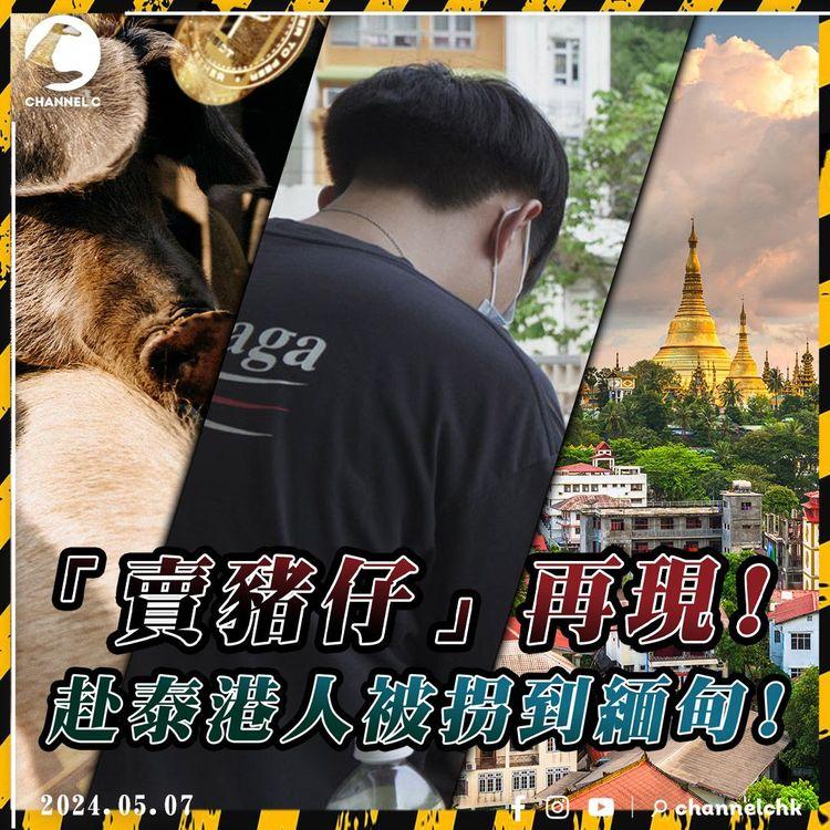 KK園區翻生! 港男赴泰國遭「賣豬仔」到緬甸做電騙 交贖金始獲釋 回港後親述驚險51小時｜SAGAMI特約