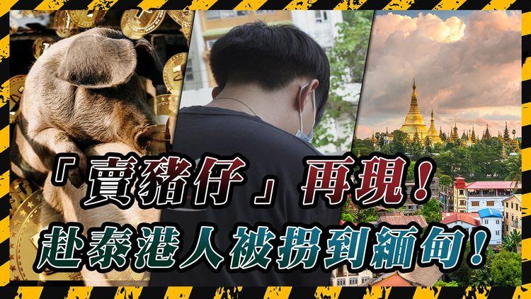 KK園區翻生! 港男赴泰國遭「賣豬仔」到緬甸做電騙 交贖金始獲釋 回港後親述驚險51小時｜SAGAMI特約