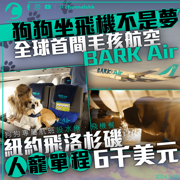 全球首間「毛孩航空」BARK Air　狗狗專屬航班設水療飛機餐　紐約飛洛杉磯人寵單程6千美元