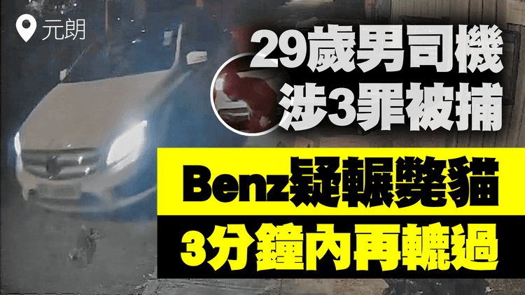 Benz男元朗疑輾斃貓　下車查看 3分鐘後再轆過駛走！29歲司機涉3罪被捕