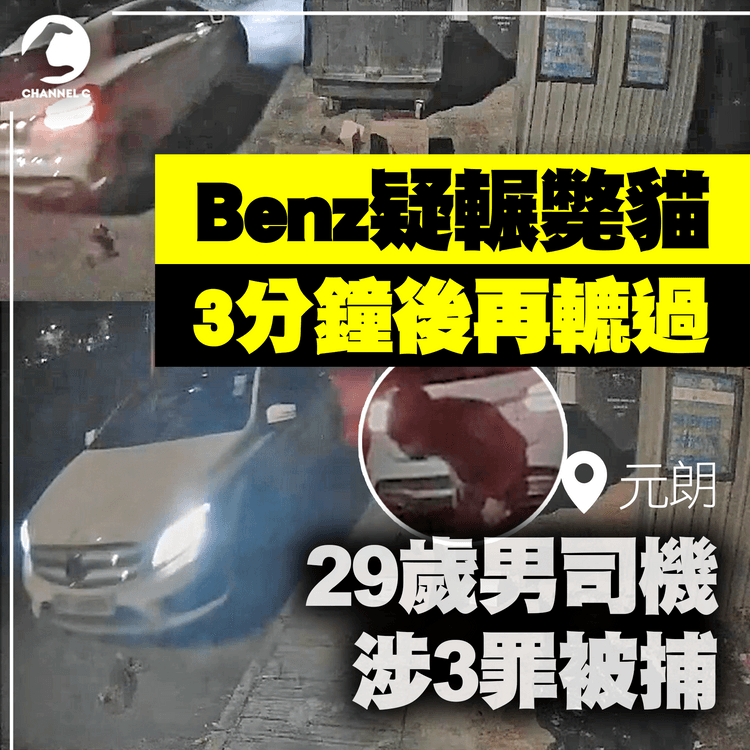 Benz男元朗疑輾斃貓　下車查看 3分鐘後再轆過駛走！29歲司機涉3罪被捕