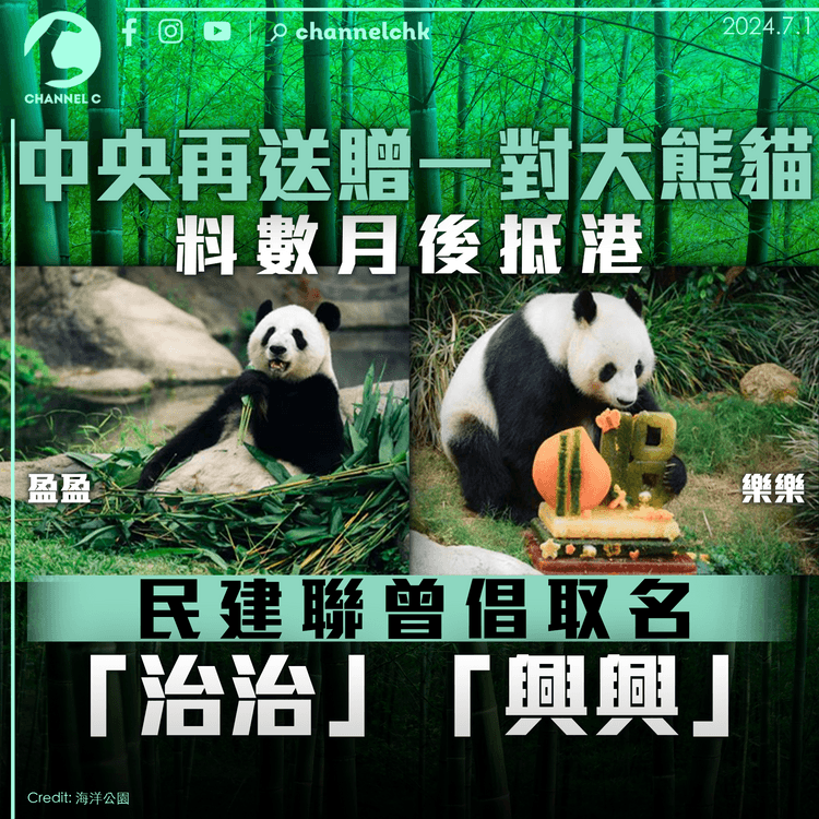 中央再送贈一對大熊貓　料數月後抵港　民建聯曾倡取名「治治」「興興」