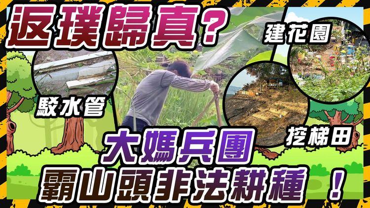 新興產業? 元朗丫髻山變非法農場 霸官地、駁水管、建花園「超誇張」! 地政署禁之不絕無晒符?｜SAGAMI特約