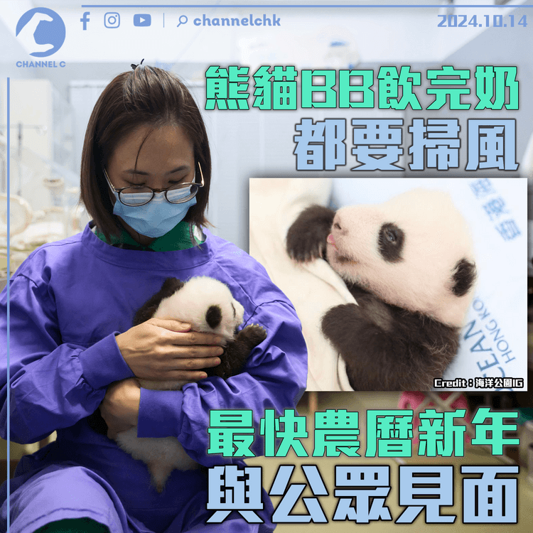 熊貓BB飲完奶都要掃風　最快農曆新年與公眾見面
