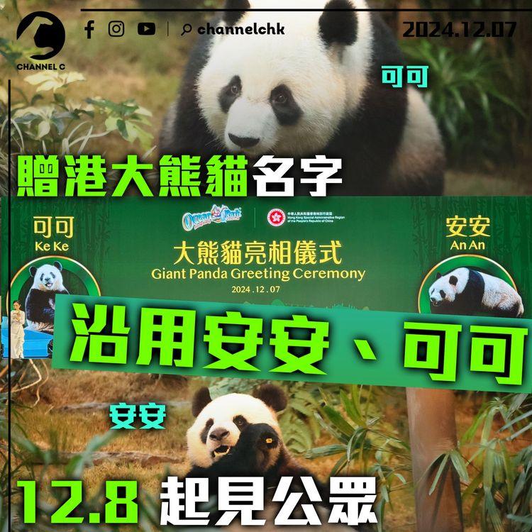 贈港大熊貓名字沿用安安、可可　12.8 起見公眾