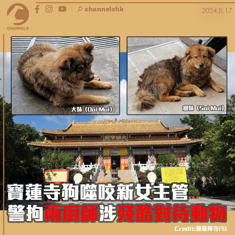 寶蓮寺狗噬咬新女主管　警拘兩廚師涉殘酷對待動物