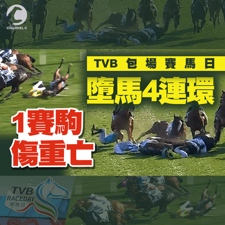 TVB賽馬日｜墮馬4連環 1賽駒傷重亡！2場4騎師倒地傷 涉腳趾骨折或傷頸｜沙田馬場