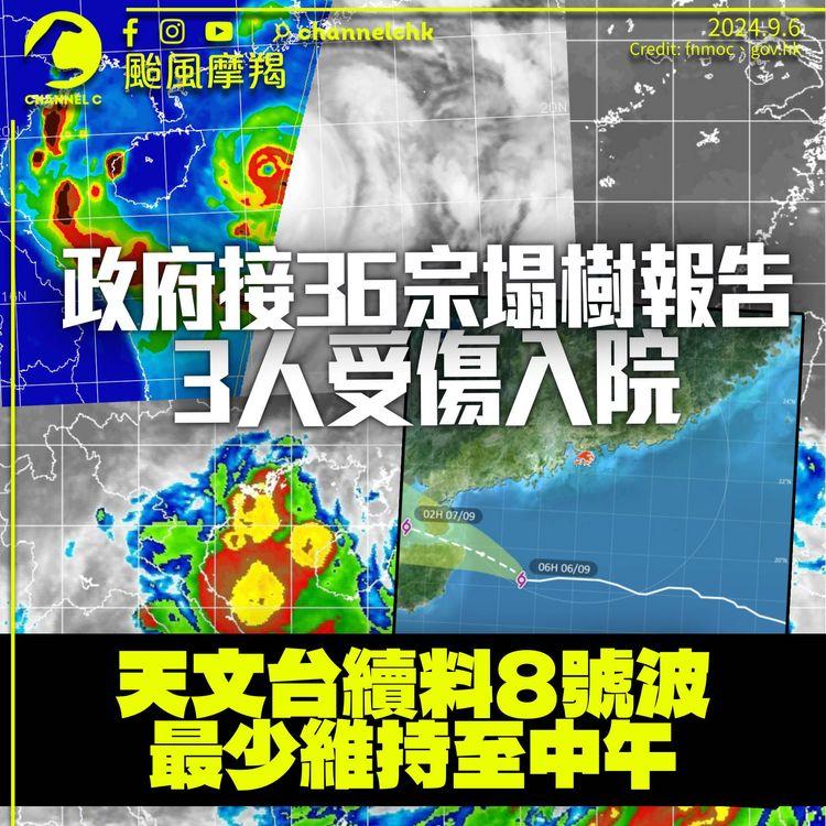 颱風摩羯｜至今錄36宗塌樹3人受傷入院　大部分巴士停開　港鐵有限度服務