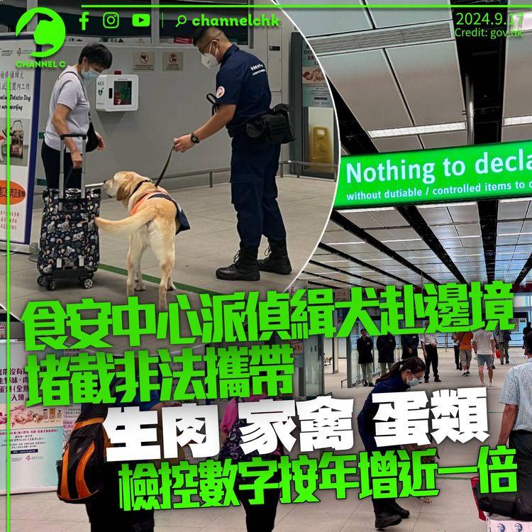 食安中心派偵緝犬赴邊境　堵截非法攜帶生肉蛋類　檢控數字按年增近一倍