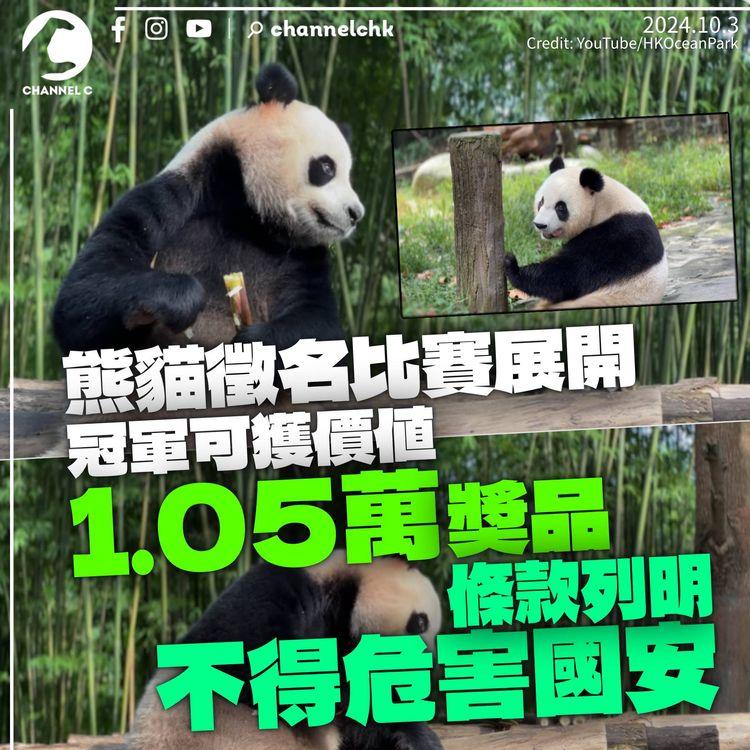 熊貓徵名比賽展開　冠軍可獲價值1.05萬獎品　列明不得危害國安或含政治元素
