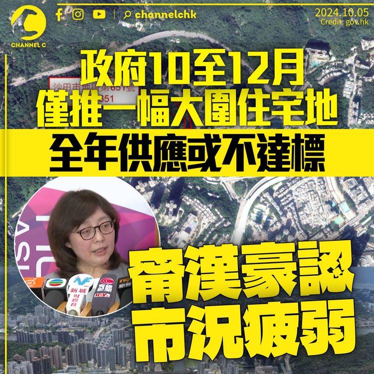 政府10至12月僅推一幅住宅地　本年供應或不達標　甯漢豪認市況疲弱