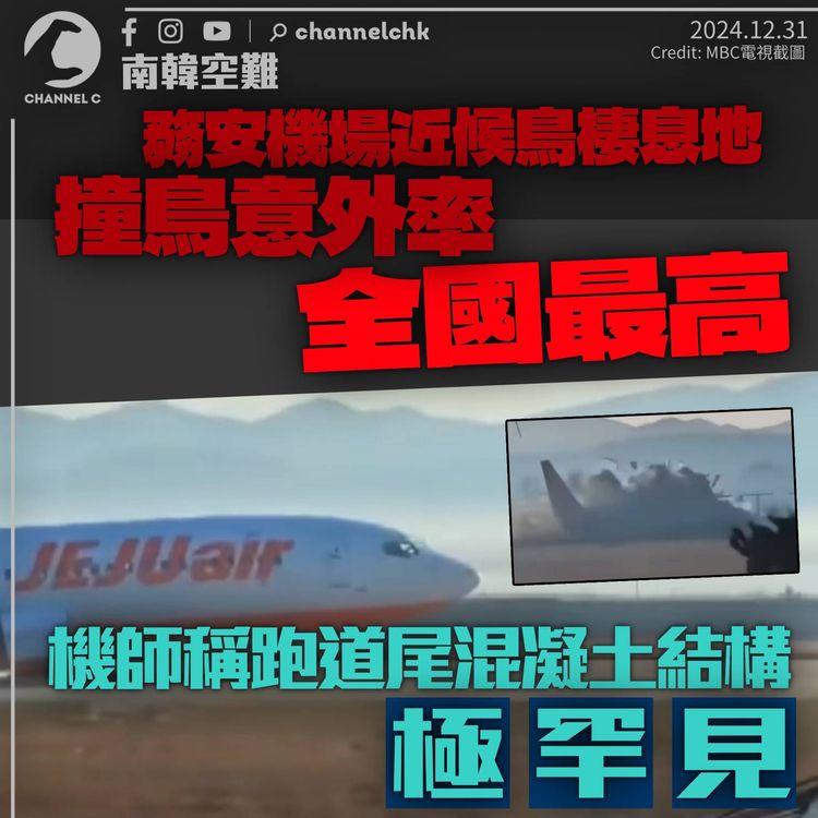 南韓務安機場撞鳥意外率全國最高　現職機師指跑道尾建混凝土罕見