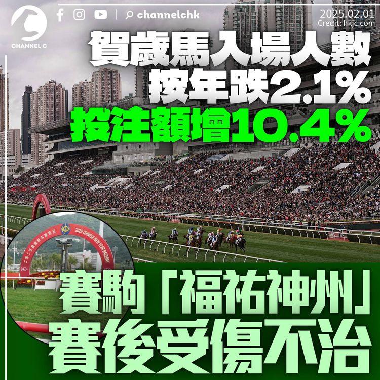 賀歲馬入場人數跌2%投注額反升一成　羅淑佩稱好熱鬧、好成績　賽駒「福祐神州」賽後受傷不治