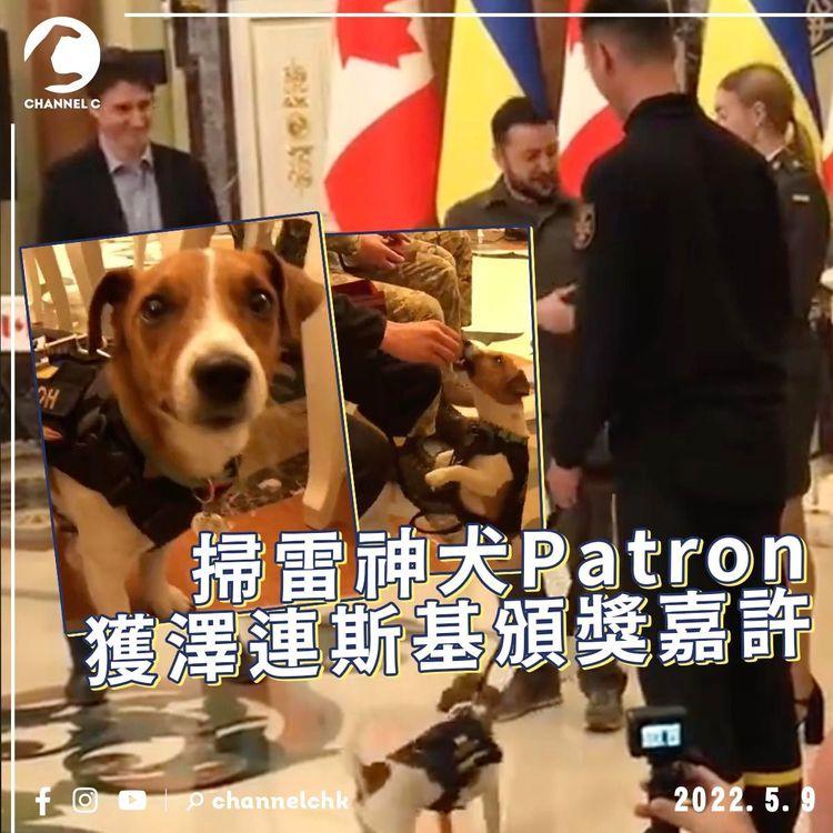 烏俄戰爭｜澤連斯基頒獎嘉許掃雷神犬Patron 讚令小朋友學懂安全避雷