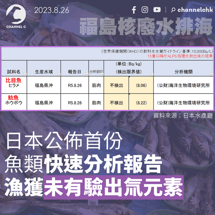 福島核廢水排海｜日本公佈首份快速分析報告　漁獲未有驗出氚元素