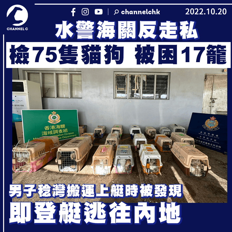 快艇疑走私75隻貓狗市值120萬 男子稔灣被發現即登艇逃往內地