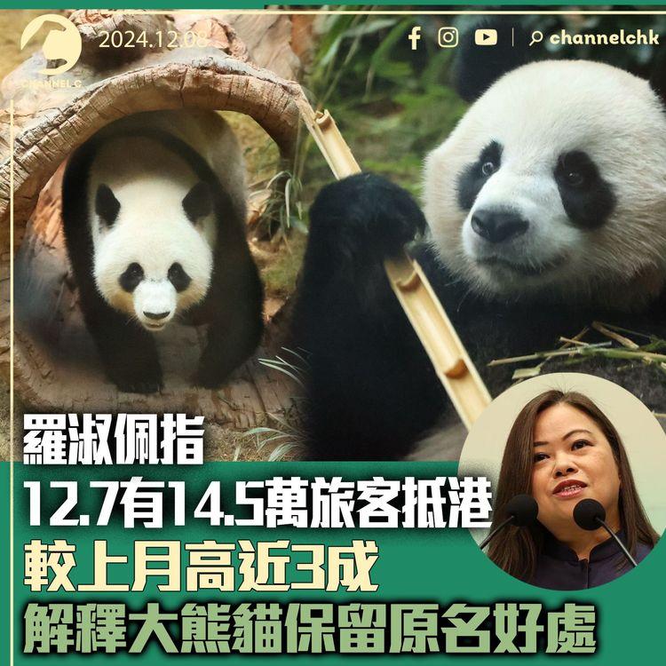 羅淑佩指12.7有14.5萬旅客抵港較上月高近3成　解釋大熊貓保留原名好處