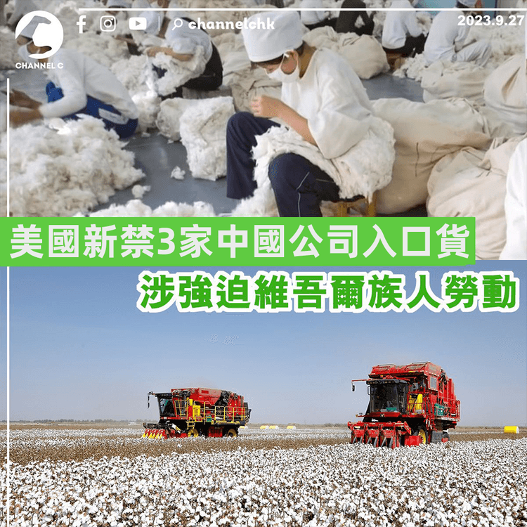 美國新禁3家中國公司入口貨　涉強迫新疆維吾爾族人勞動
