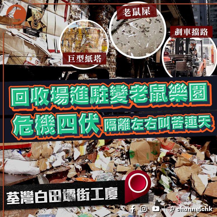  老鼠屎 巨型紙塔 剷車擋路  回收場進駐變老鼠樂園 危機四伏 隔離左右叫苦連天