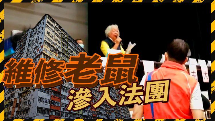 「維修老鼠」入侵法團？ 阿婆主席操控千萬 業主鬧爆隻手遮天