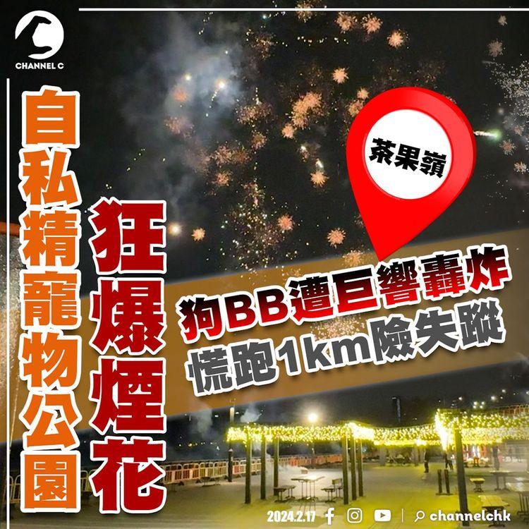 直擊自私精寵物公園狂爆煙花 狗BB遭巨響轟炸 慌跑1km險失蹤！燃放者亂丟包裝盒落海 圖毀屍滅跡 警茶果嶺緝7男1女