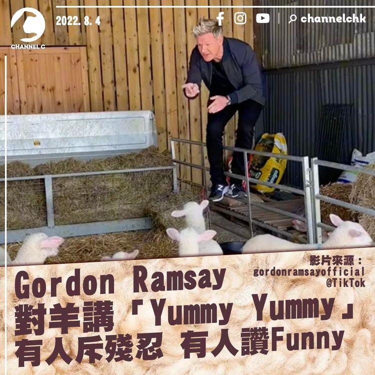 Gordon Ramsay玩抖音同羊仔講「Yummy Yummy」 被斥殘忍