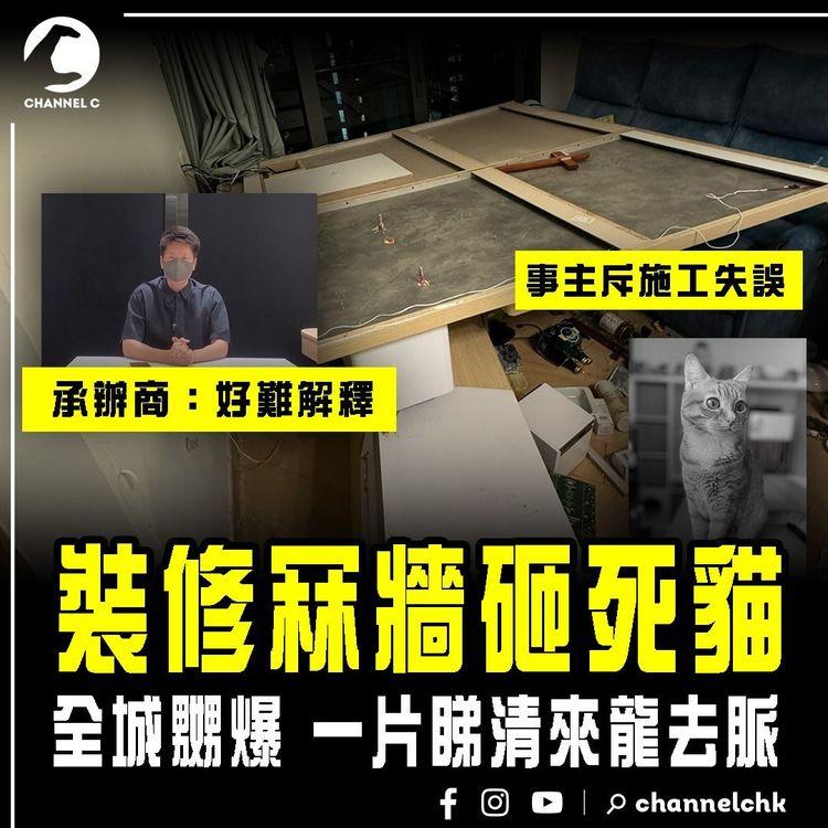 裝修冧牆砸死貓 全城嬲爆！一片睇清來龍去脈｜事主斥施工錯誤 失眠求診精神科｜承辦商終道歉 辯稱「好難解釋」倒塌原因