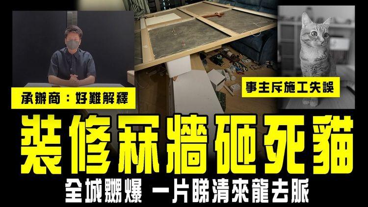 裝修冧牆砸死貓 全城嬲爆！一片睇清來龍去脈｜事主斥施工錯誤 失眠求診精神科｜承辦商終道歉 辯稱「好難解釋」倒塌原因