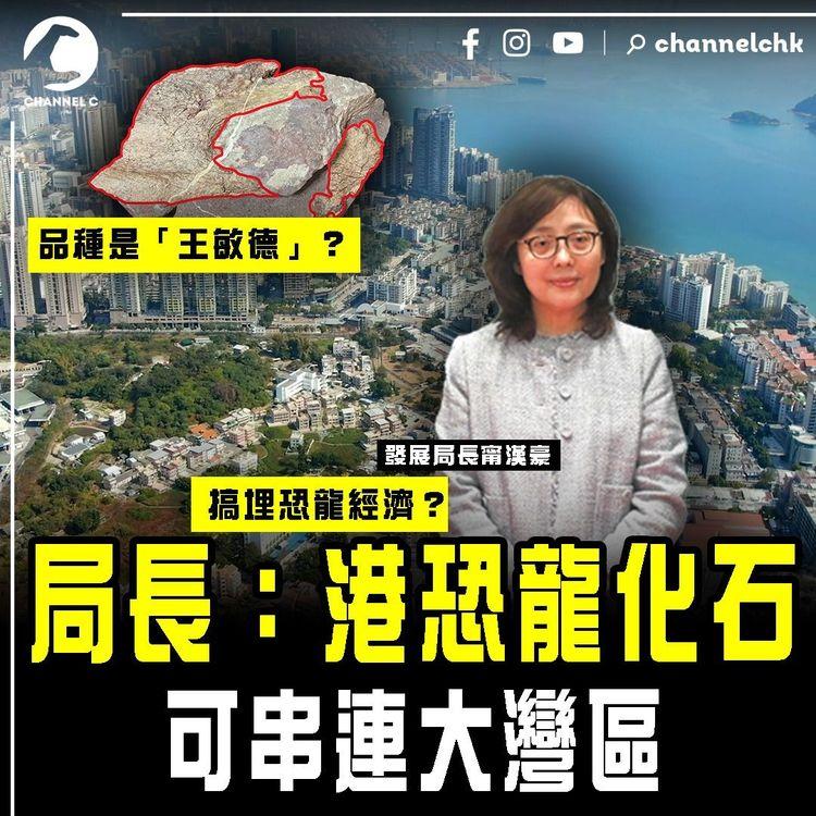 赤洲恐龍化石｜發展局長甯漢豪稱「可串連大灣區」難道品種是「王敏德」？搞埋恐龍經濟？專家料約1億4500萬年前骨骼