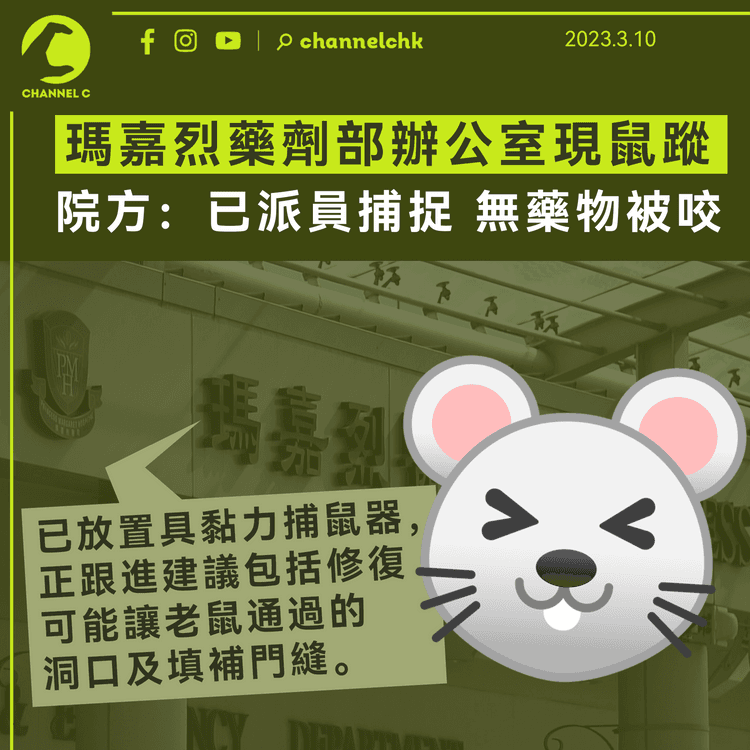 瑪嘉烈醫院藥劑部辦公室有老鼠出沒 院方：已派員捕捉 無藥物被咬