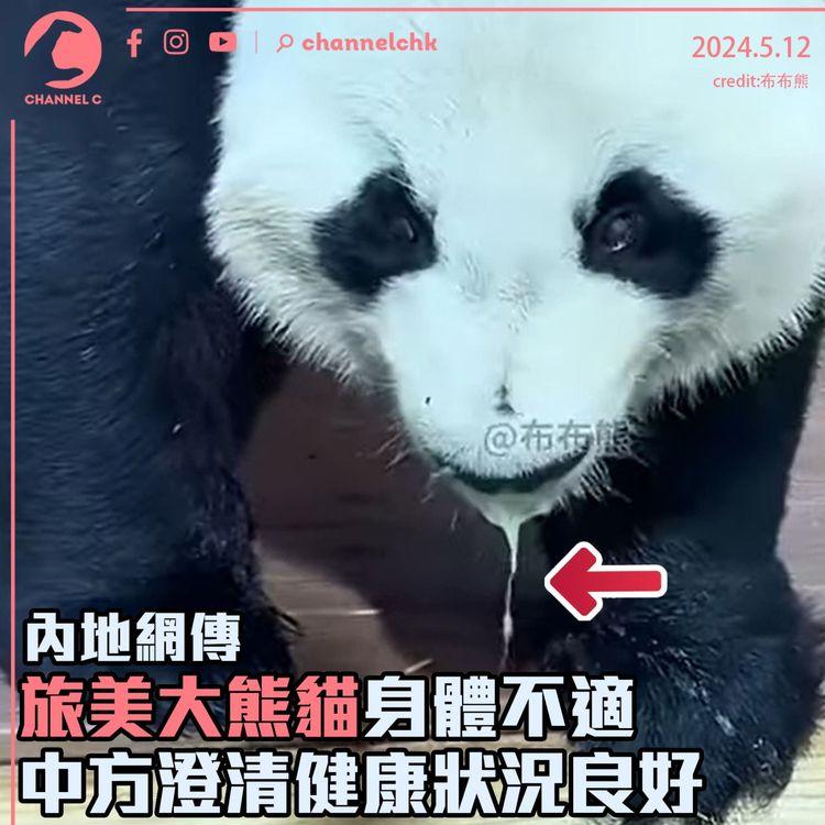 內地網傳旅美大熊貓身體不適　中方澄清健康狀況良好