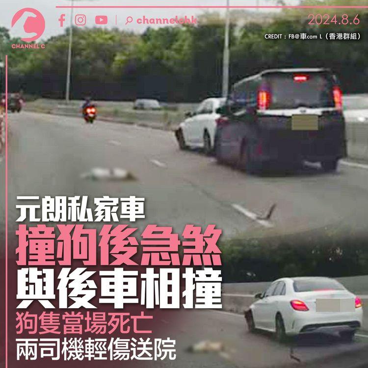 元朗私家車撞狗後急煞與後車相撞　狗隻當場死亡　兩司機輕傷送院