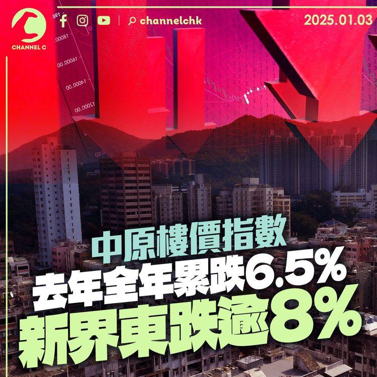 中原樓價指數　去年全年累跌6.5%　新界東跌逾8%