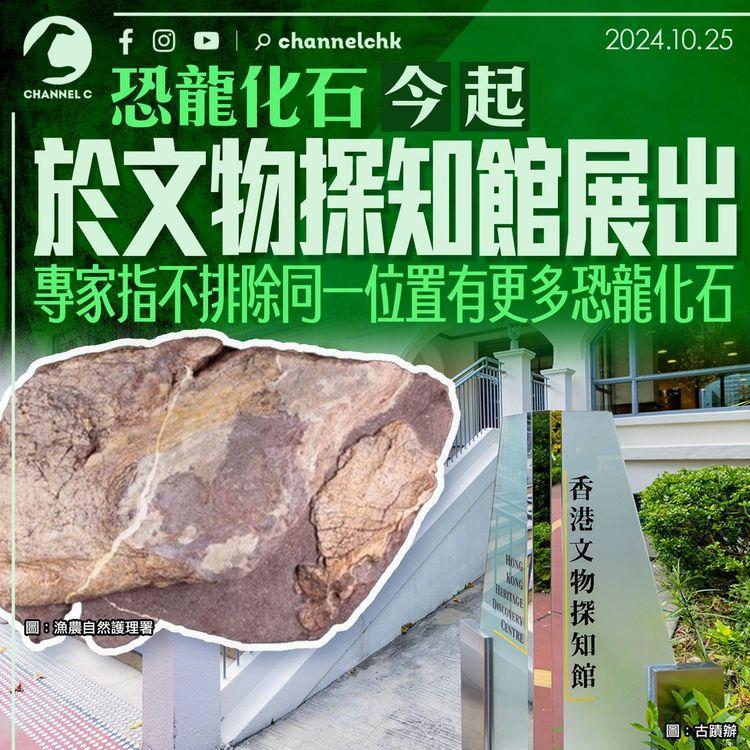 恐龍化石今起於文物探知館展出　專家指不排除同一位置有更多恐龍化石