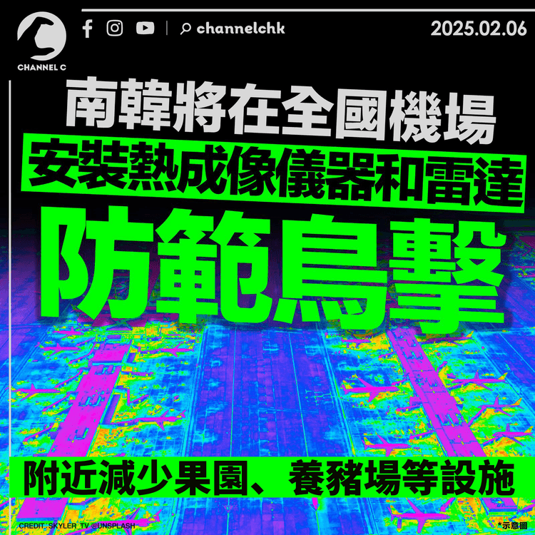 南韓擬全國機場裝測鳥設備防鳥擊　附近減少果園、養豬場等設施