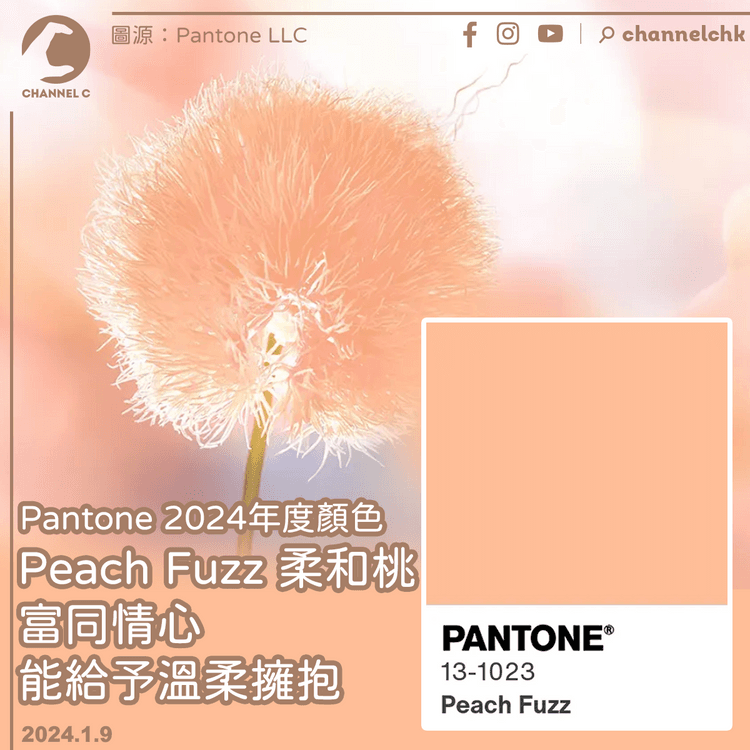 Pantone 2024年度顏色Peach Fuzz 柔和桃 ── 富同情心能給予溫柔擁抱